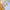 Aurora Teardrop Statement Earrings — Polished Gold Glow